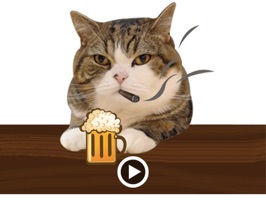 Say 'hello' to Molly The Cat Animated