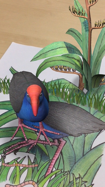 Quiver - 3D Coloring App