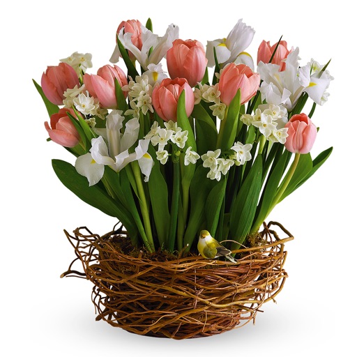 Bouquets of Tulips Flowers • Tulip Bouquet Sticker