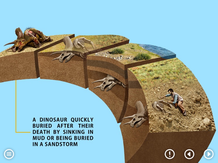 World of Dinosaurs: KIDS screenshot-4