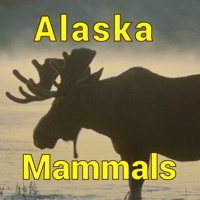 Alaska Mammals