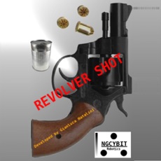 Activities of Revolver Shot