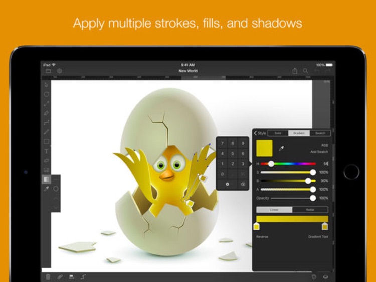 iDraw - Vector Design, Illustration & Graphic