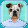 Animal Face Photo Booth with Funny Pet Sticker.s