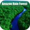 Amazon Rain Forest Tourist Travel Guide