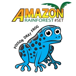 Word Play: Amazon Rainforest