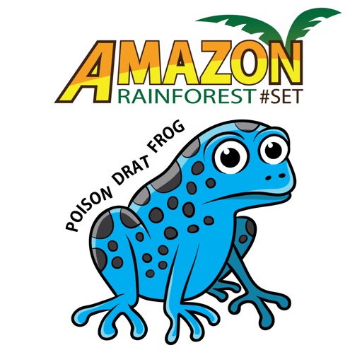 Word Play: Amazon Rainforest