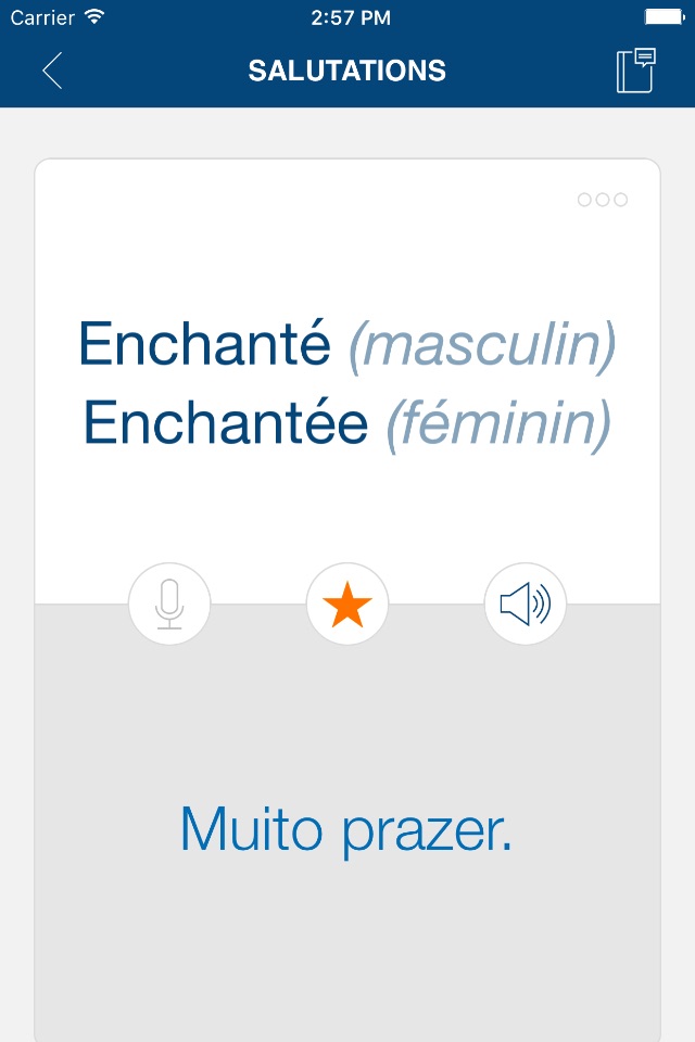 Learn Portuguese Phrases screenshot 3