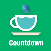 Countdown widget - Fancy styles countdown timer apk