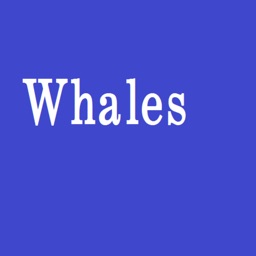 WhalesQuiz