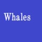 This app has 25 Questions about Whales :