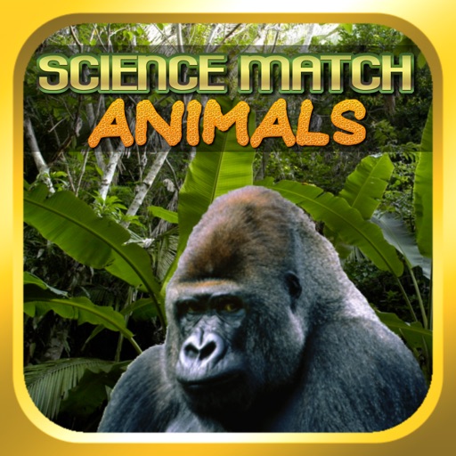 Science Match Animals Icon