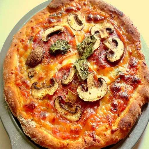 Pizza Recipes - 10001 Unique Recipes