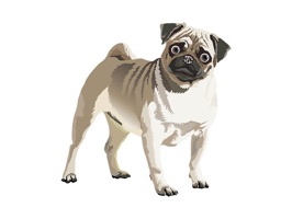 Original, cute dog art stickers of your favorite breeds of dogs: Terrier, Black Lab, Basset Hound, Chinese Crested, Pug, Corgi, Poodle, Husky, Golden Retriever
