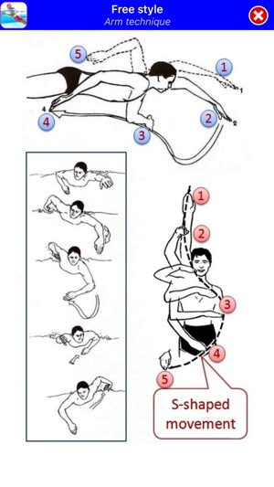 Swimming Step by Step(圖4)-速報App