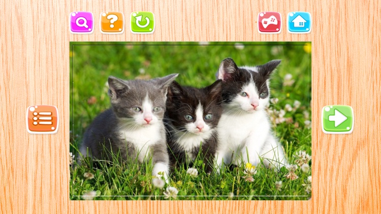 Cat Puzzle Game Animal Jigsaw Puzzles For Adults screenshot-4