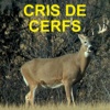 Cris Et Sons De' Cerfs Pour La Chasse