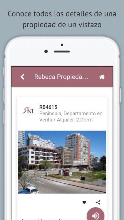 Rebeca Propiedades Inmobiliaria screenshot-3