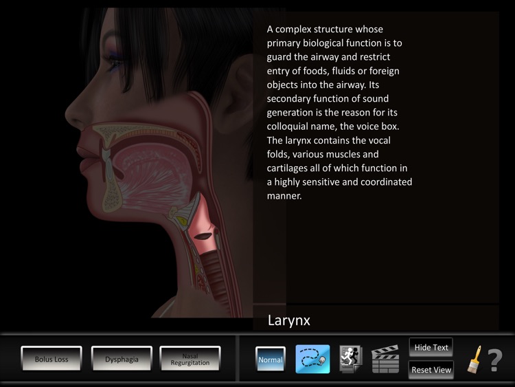 Oral Disorders