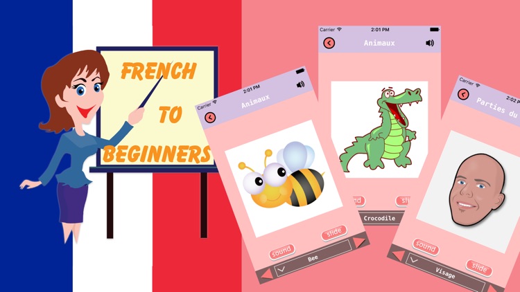 how to speak french flashcards for kids beginners