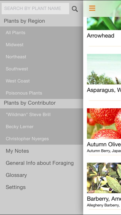Wild Edibles Forage screenshot-3