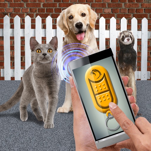 Training Pet Clicker iOS App