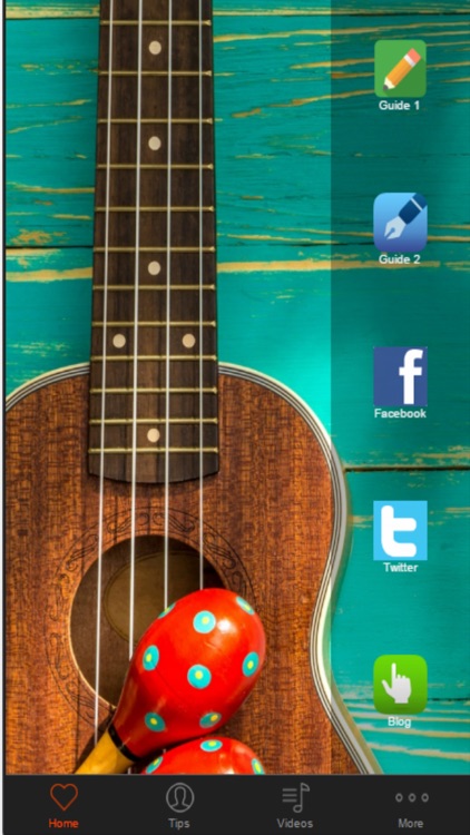 Ukulele Lessons - Learn to Play Ukulele