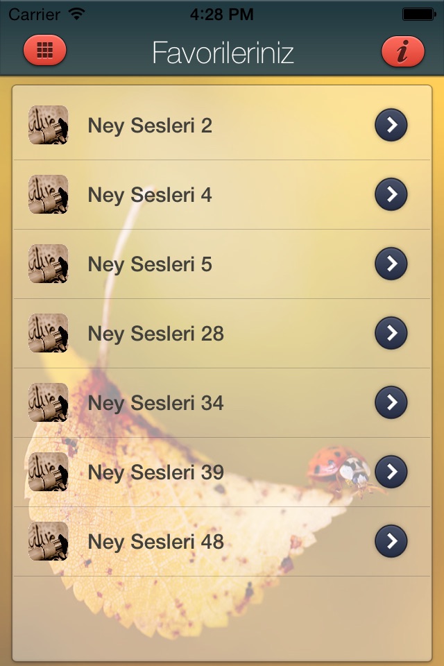 Ney Zil Sesleri screenshot 4