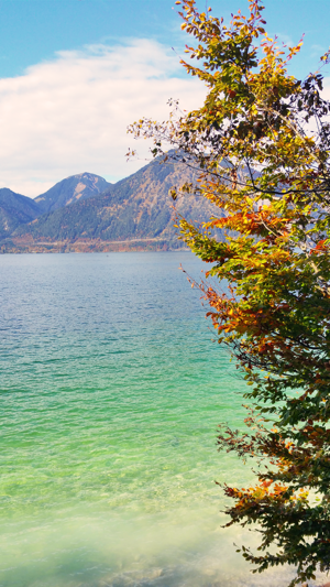 Relax VR Lake in Autumn Virtual Reality 