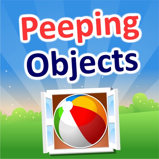 Peeping Objects iOS App