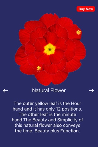 Flower Clock 2.0 screenshot 4