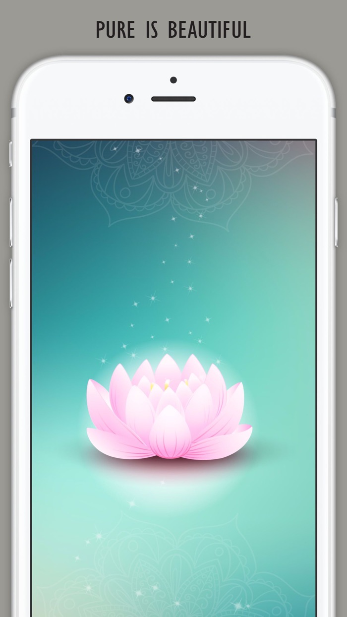 Rain LiLy - A Healthy Nail Salon