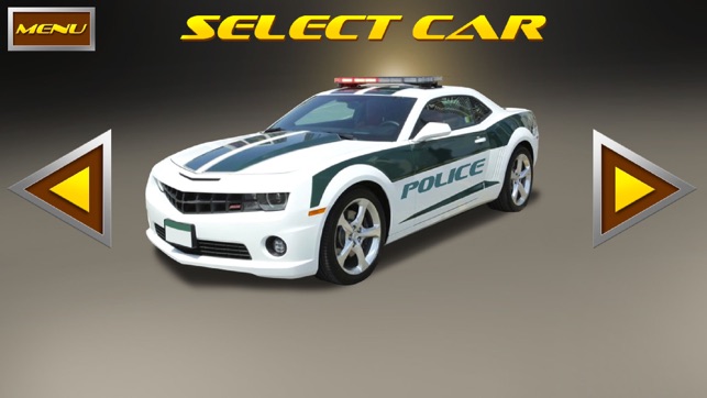 Simulator Police in Dubai(圖3)-速報App