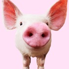 Top 20 Entertainment Apps Like Pig Sounds - Best Alternatives