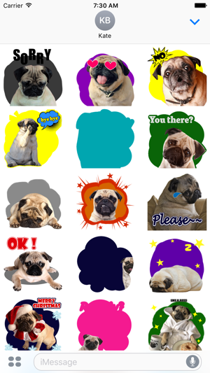 Handsome Pug Puppy Animated(圖3)-速報App