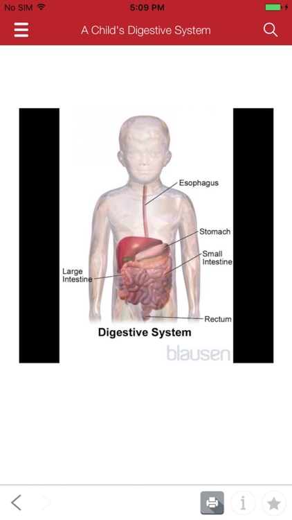 Merck Manual - Consumer Version screenshot-4