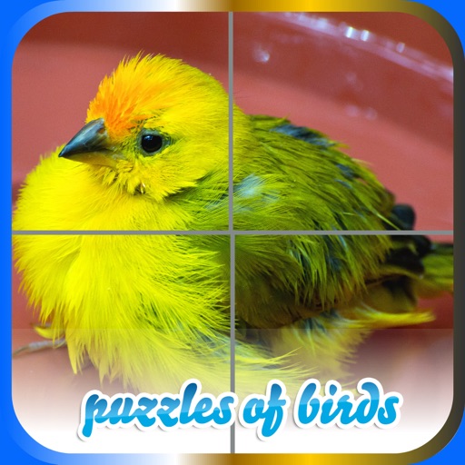 Puzzles of Birds Free icon