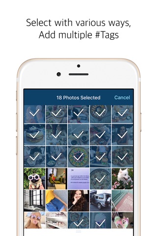 Taggle - #Tag Gallery screenshot 3