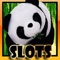 Panda Slot Machines – VIP 5-reel Casino