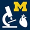 The CV Histology SecondLook™ mobile application is a study aid that provides a series of histology slides for users to self-test their level of knowledge and ability to recognize histological structures