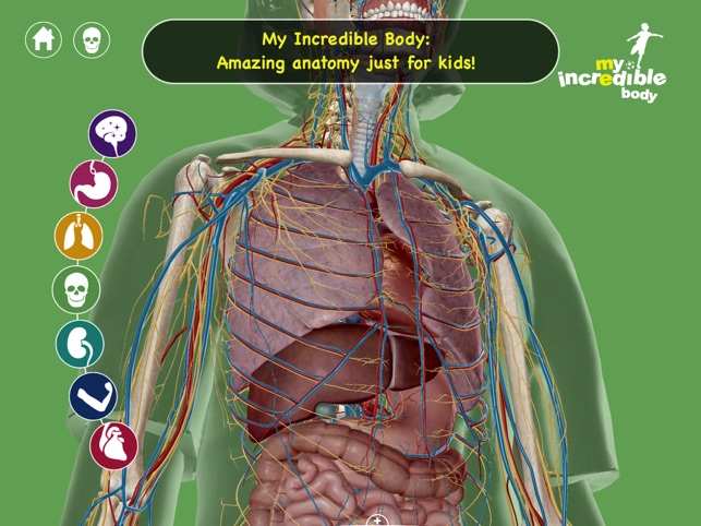 My Incredible Body Guide To Learn About The Human Body For Children Educational Science App With Anatomy For Kids - 