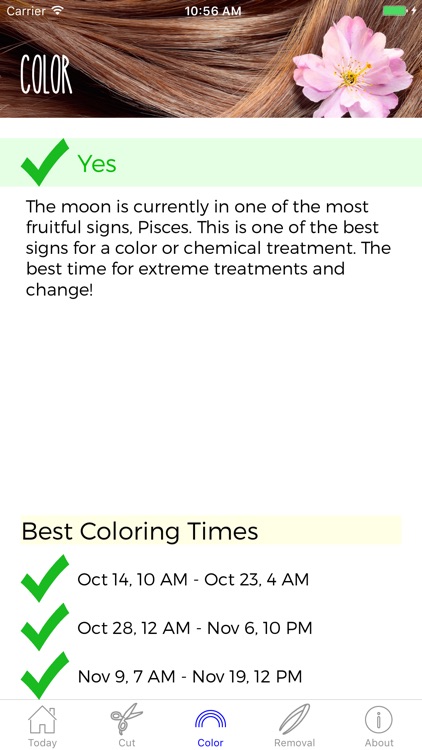 Hair Astrology Professional