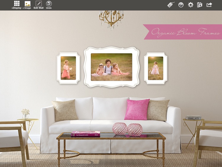 Shoot and Sell
