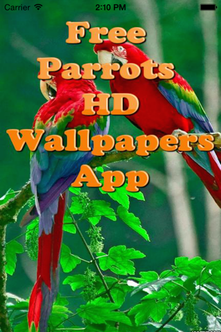 Parrot Wallpapers screenshot 2