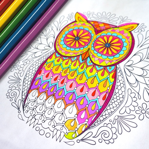 Owls & Birds Anti Stress Coloring Pages for Adults icon