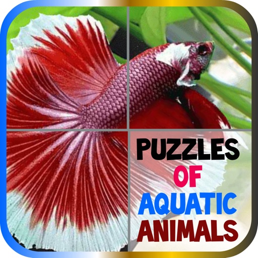 Puzzles of Aquatic Animals Icon