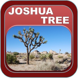 Joshua Tree National Park - USA