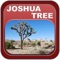 An Ultimate Comprehensive guide to Joshua Tree National Park