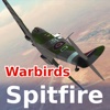 Warbirds Spitfire (lite)