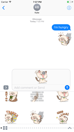 Funny Kitten Sticker(圖4)-速報App